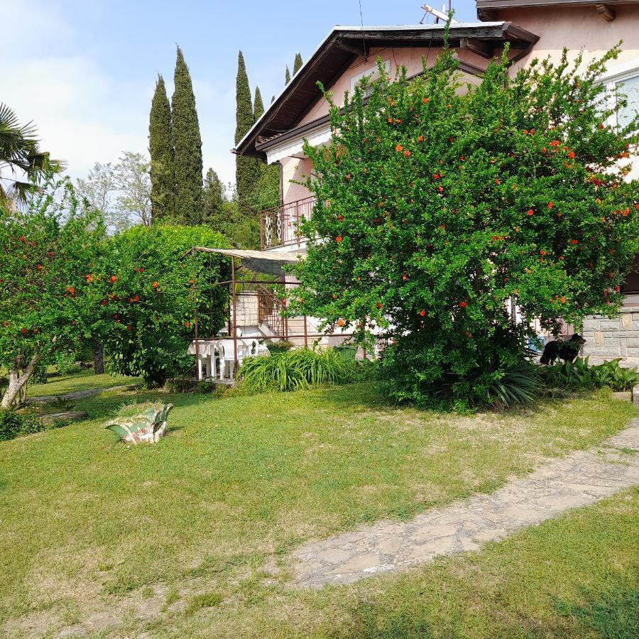 Apartma Mari Διαμέρισμα Lucija Εξωτερικό φωτογραφία